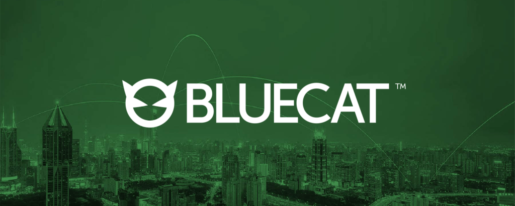 BlueCat Networks в России